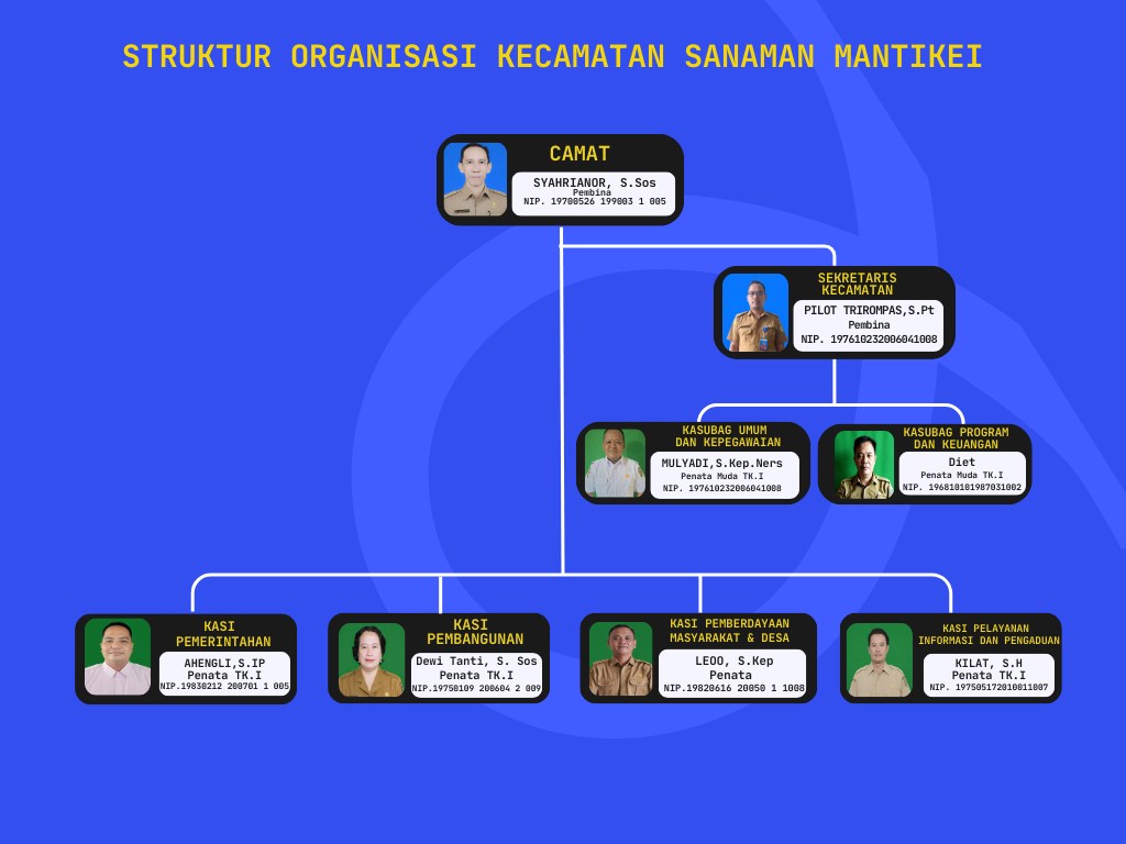 Struktur Organisasi Kecamatan